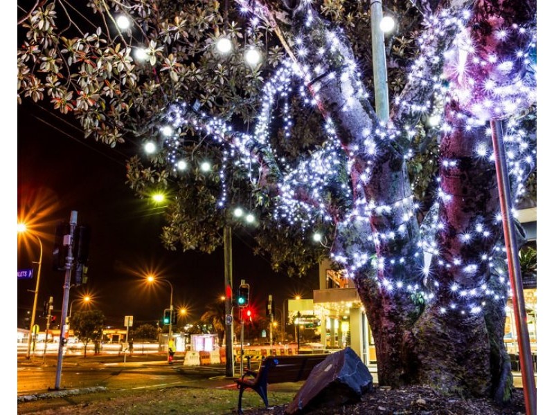 10/3 Clancy Court, Tugun QLD 4224