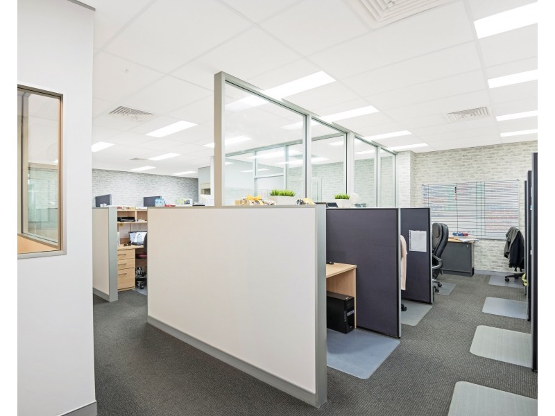 427 Golden Four Drive, Tugun QLD 4224