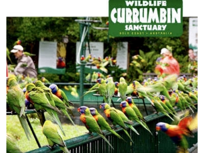 18 Cabarita Avenue, Tugun QLD 4224