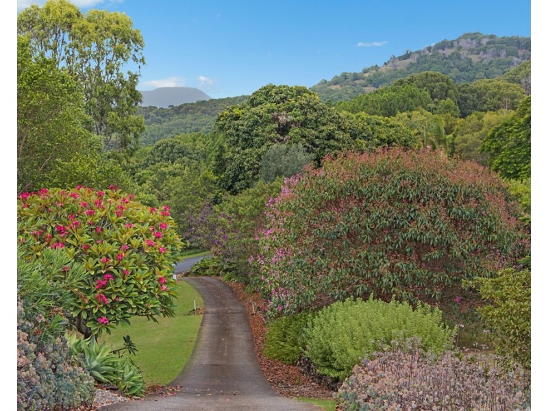 8 Balfours Road, Terranora NSW 2486