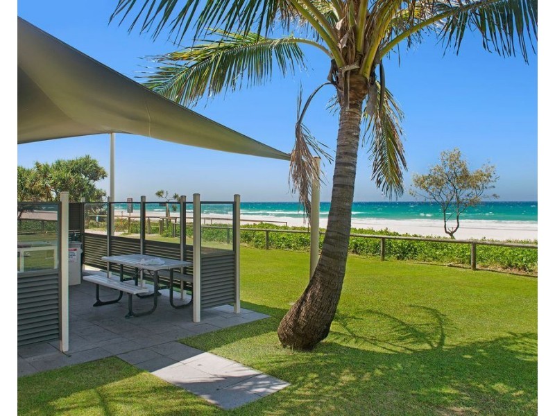 31/387 Golden Four Drive, Tugun QLD 4224