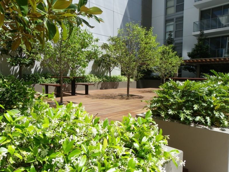 137/151 Adelaide Terrace, East Perth WA 6004