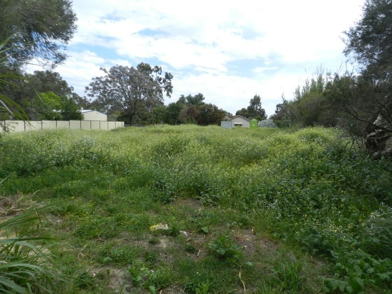 5 Westfield Street, Maddington WA 6109