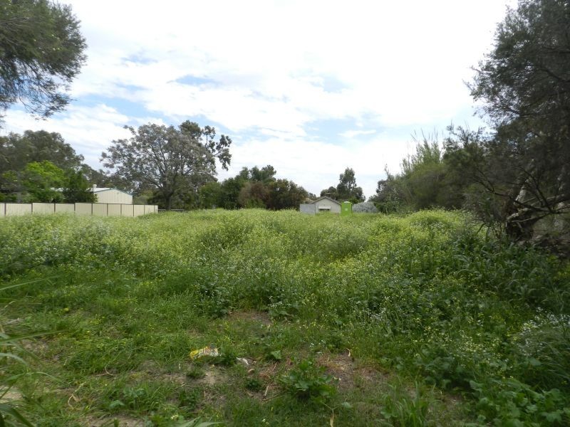 5 Westfield Street, Maddington WA 6109