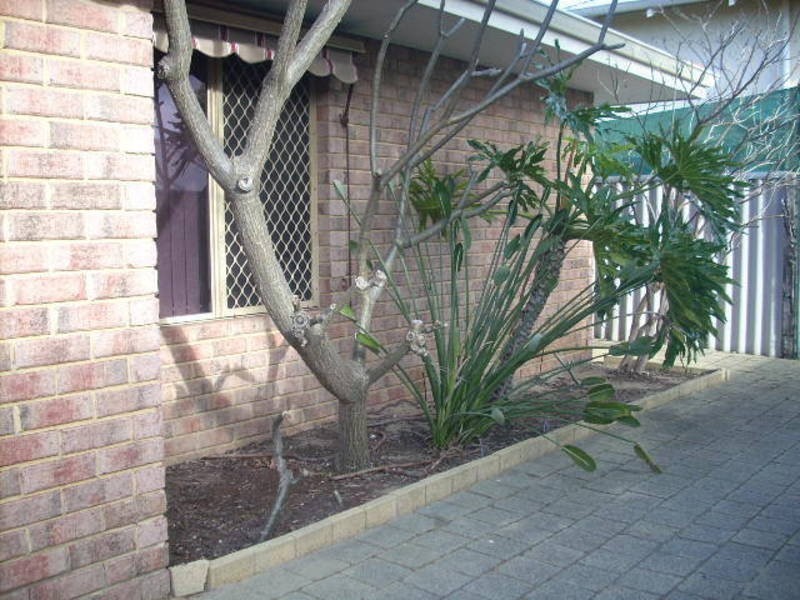 2/1 Kanimbla Street, Bicton WA 6157