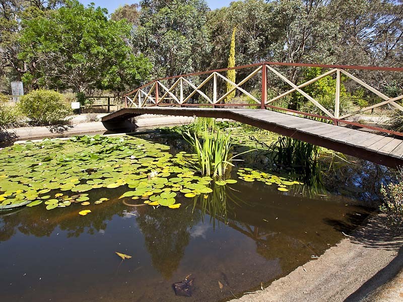 215 Masters Road, Darling Downs WA 6122