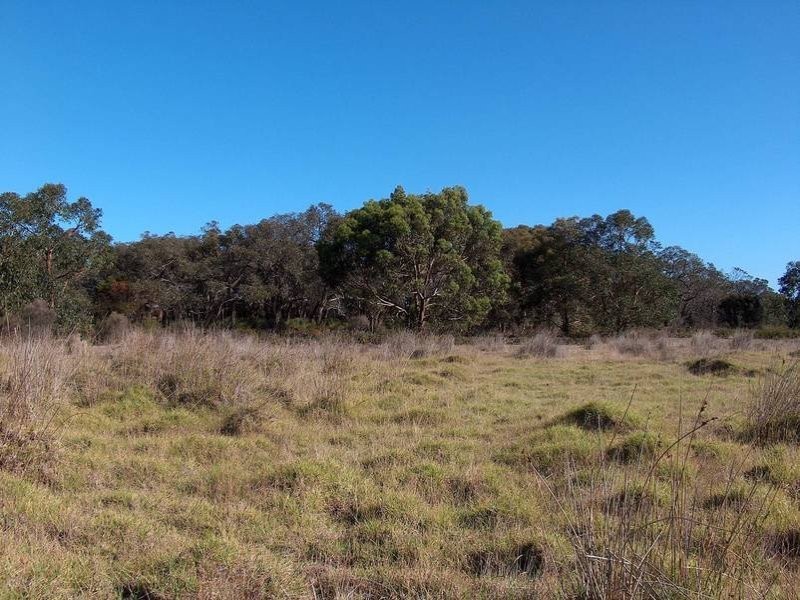 Lot 36, Frog Hollow Boulevard, Torquay VIC 3228