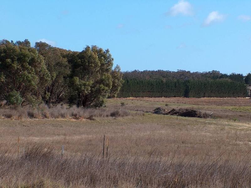 Lot 34, Frog Hollow Boulevard, Torquay VIC 3228
