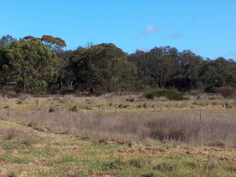 Lot 34, Frog Hollow Boulevard, Torquay VIC 3228