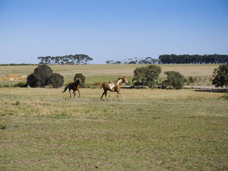 2 McCanns Road, Mount Duneed VIC 3216