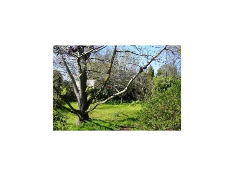 320 Shannon Avenue, Newtown VIC 3220