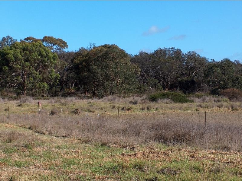 Lot 41 Frog Hollow, Torquay VIC 3228