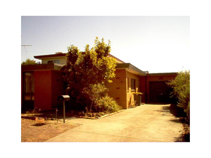38 Stork Avenue, Belmont VIC 3216