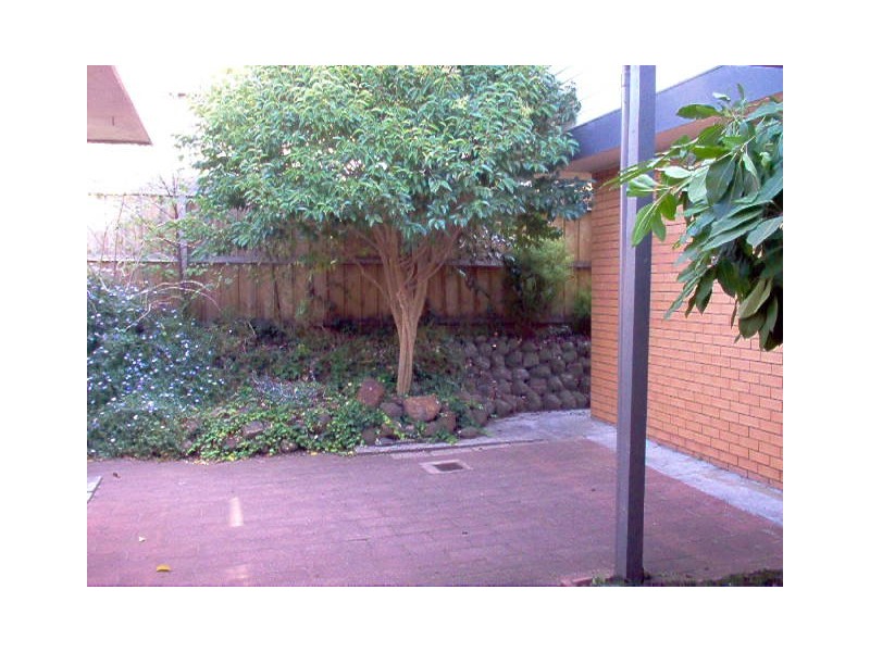 38 Stork Avenue, Belmont VIC 3216