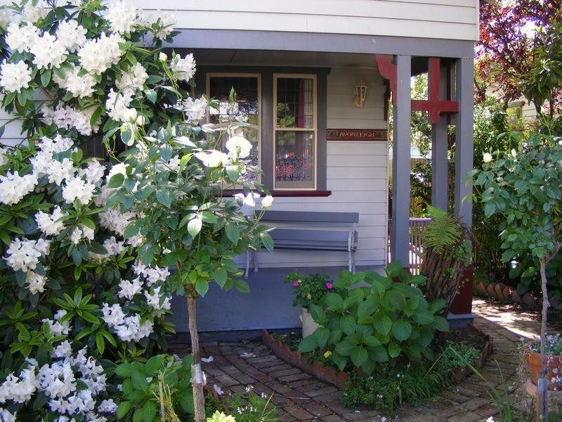 6A Lunan avenue, Geelong VIC 3220