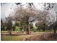 29 Sinclair Street, Colac VIC 3250
