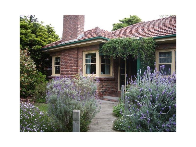61 Minerva rd, Herne Hill VIC 3218