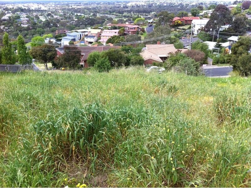 20 Oakbank Avenue, Highton VIC 3216