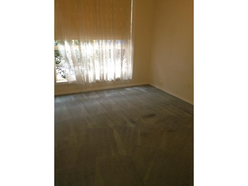 1/14 Bisinella Court, Leopold VIC 3224