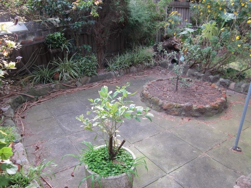 152 Roslyn Road, Belmont VIC 3216