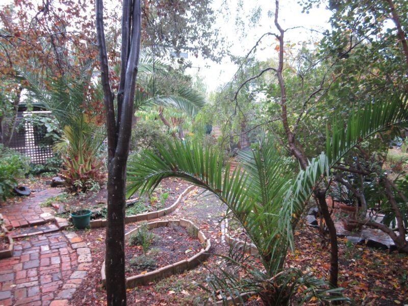 147 Corio Street, Geelong VIC 3220