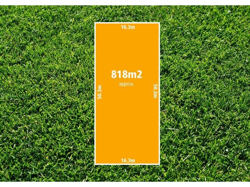 10 Mitchell St, Belmont VIC 3216