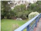 32 Domain Road, Jan Juc VIC 3228