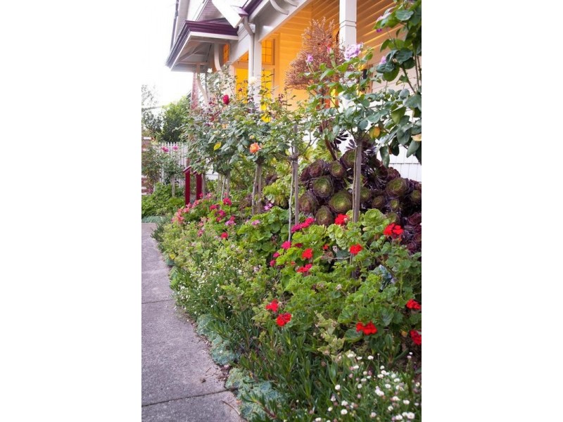 402 Ryrie Street, East Geelong VIC 3219