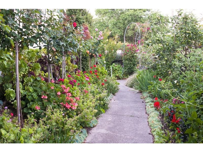 402 Ryrie Street, East Geelong VIC 3219