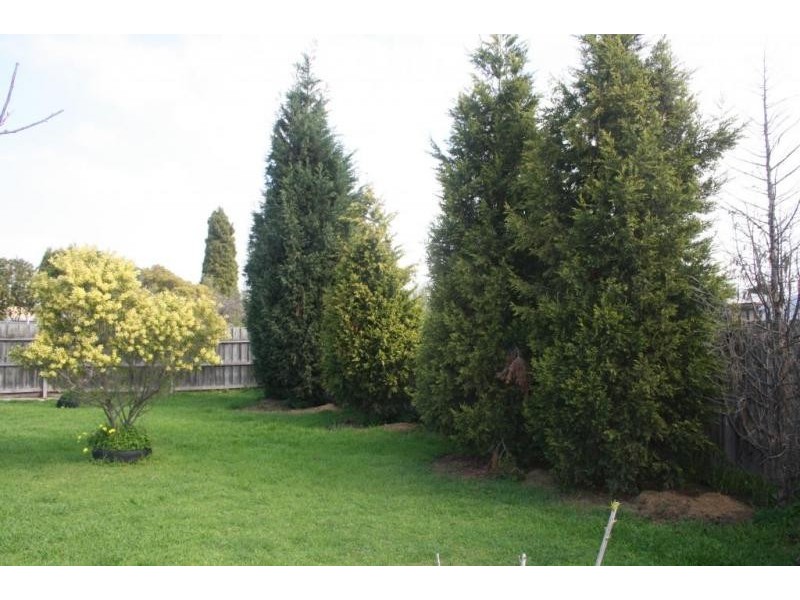 135 Station Street, Norlane VIC 3214