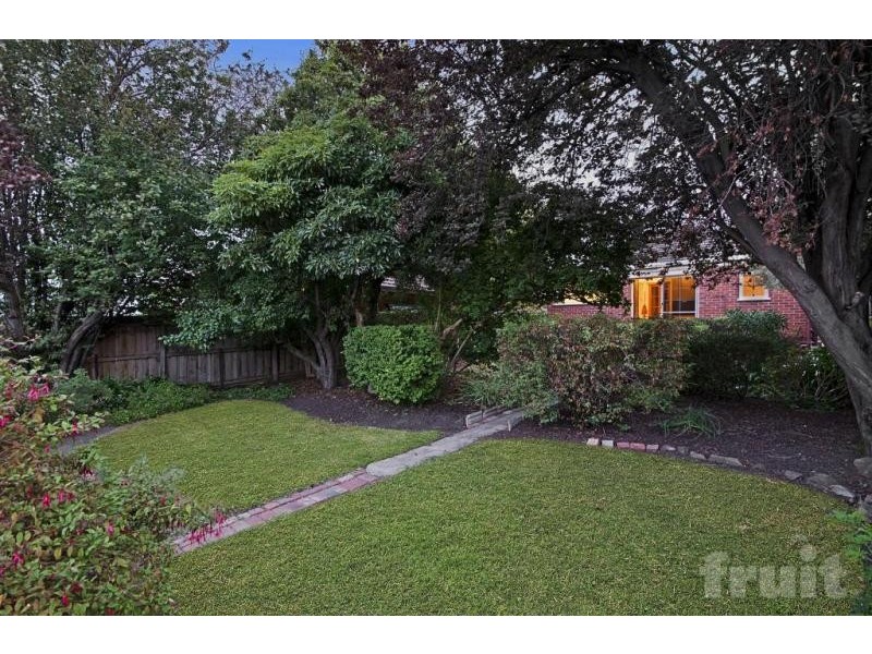 15 Collins Street, Belmont VIC 3216