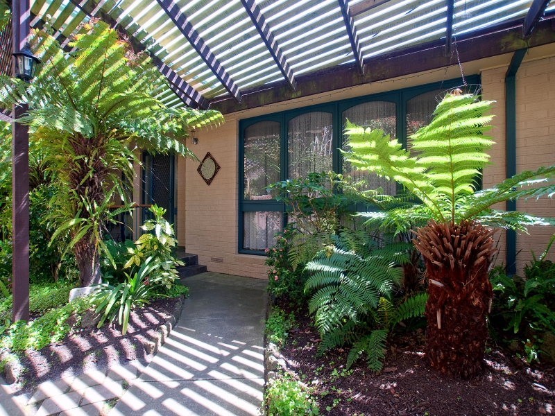 234 Frankston-Flinders Road, Frankston VIC 3199