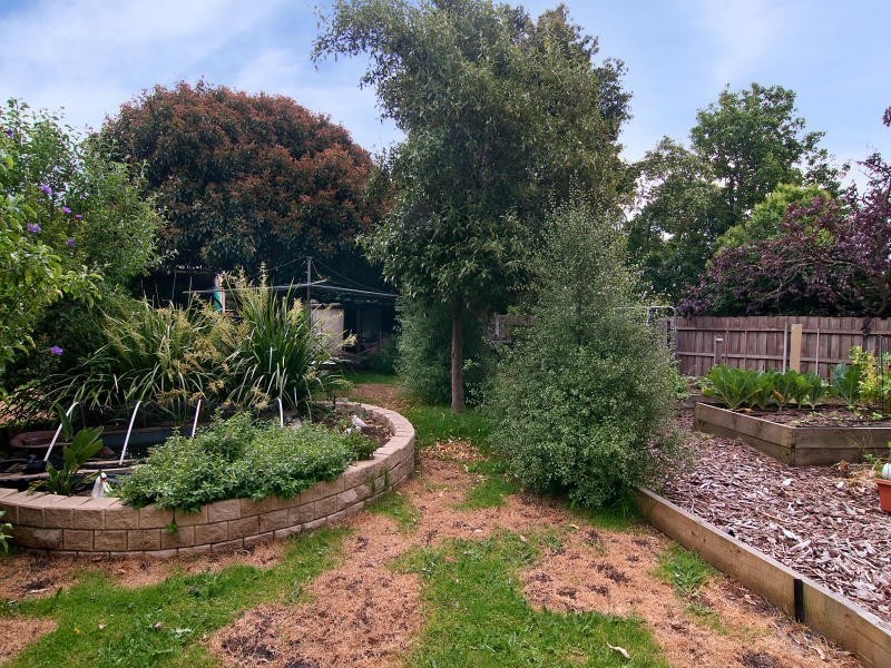 17 Ribbon Court, Frankston North VIC 3200