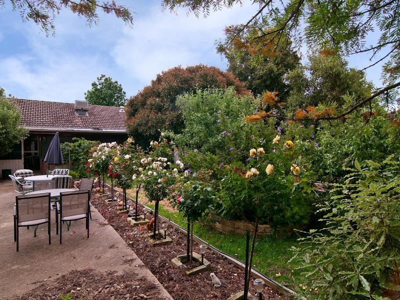 17 Ribbon Court, Frankston North VIC 3200