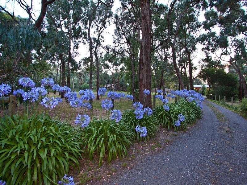 35 Kingston Road, Langwarrin VIC 3910
