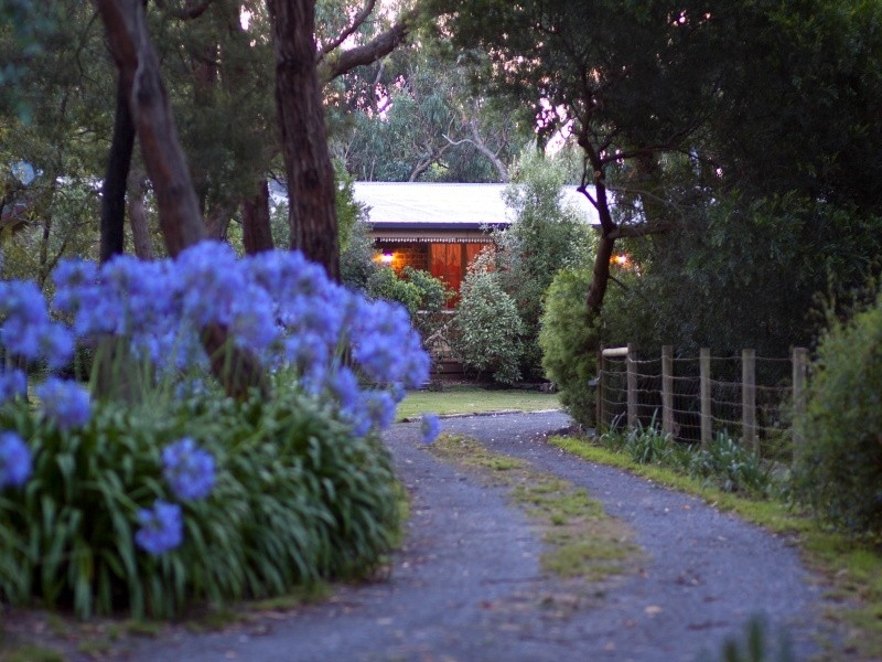 35 Kingston Road, Langwarrin VIC 3910