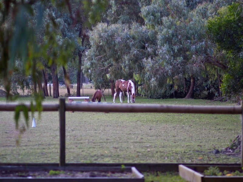 35 Kingston Road, Langwarrin VIC 3910