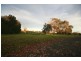 11 Mona Street, Seaford VIC 3198
