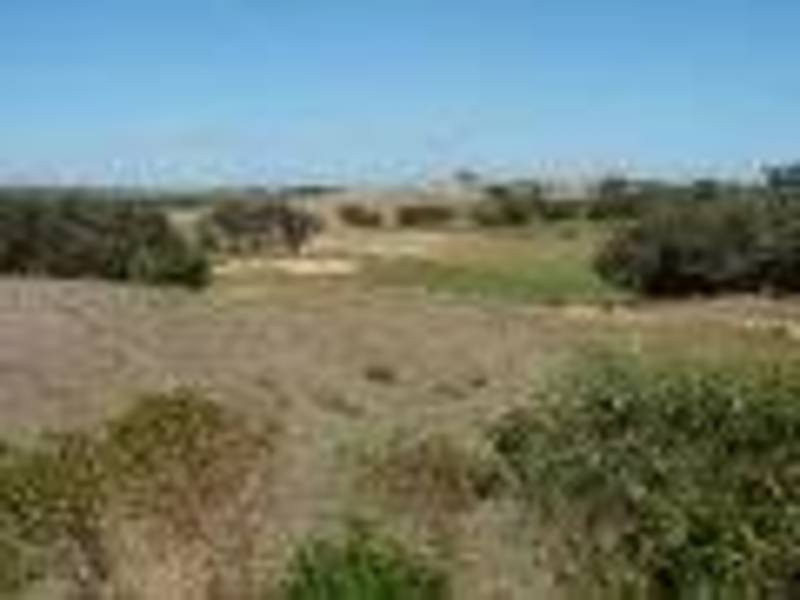 457 The Ridge, Fingal VIC 3939