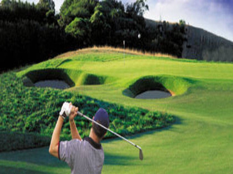 803 Turnberry Grove, Rye VIC 3941