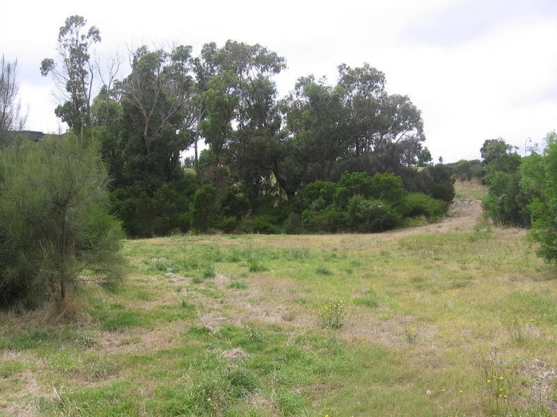 Lot 414,  The Ridge Road, Fingal VIC 3939