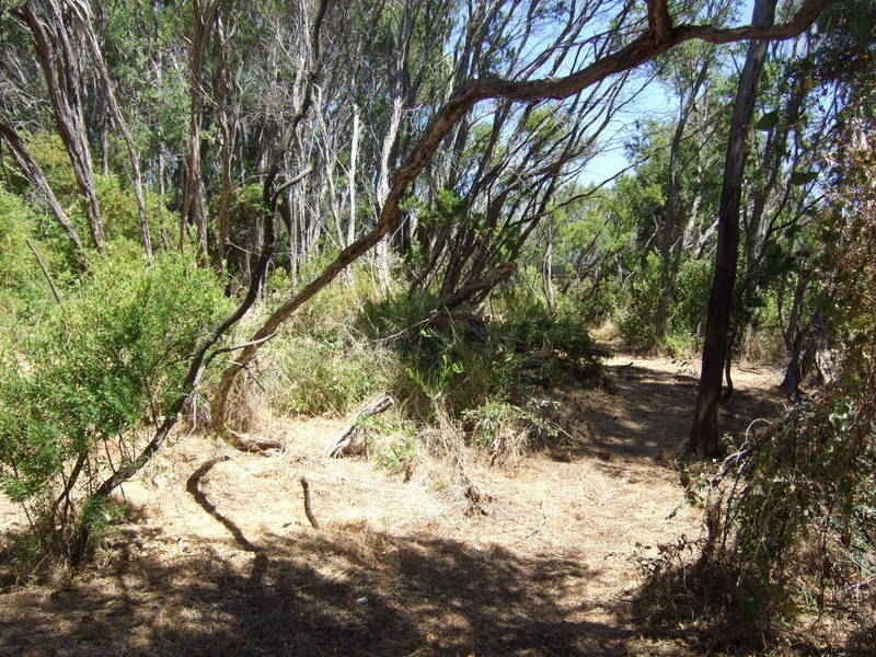 71 Kareela Drive, Tootgarook VIC 3941