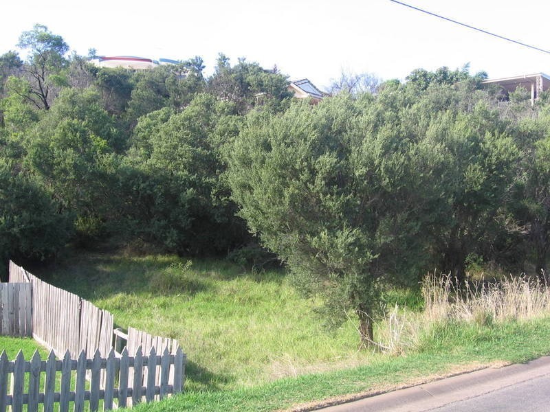 87 Marshall Street, Tootgarook VIC 3941