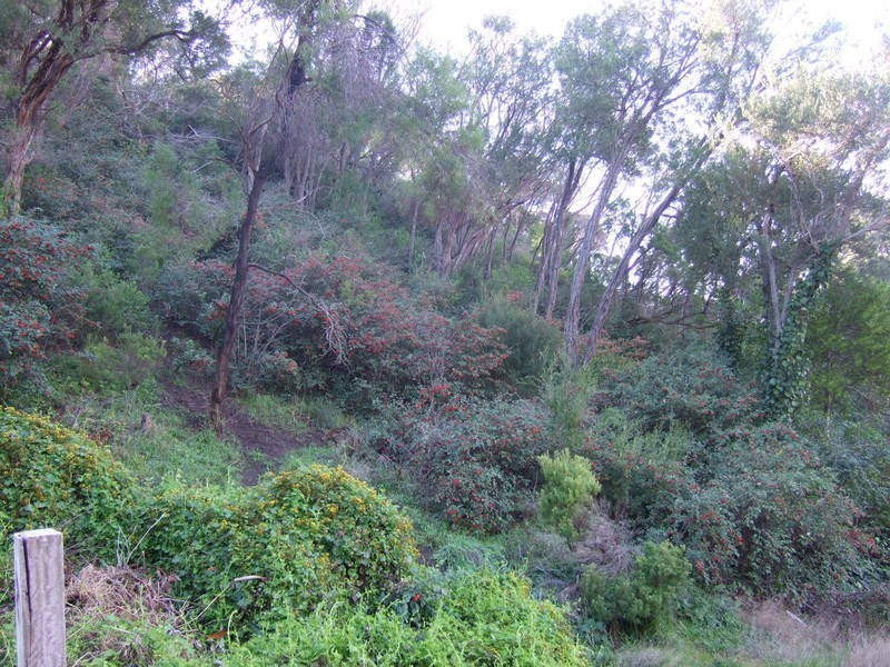 12 Glen Drive, Rye VIC 3941