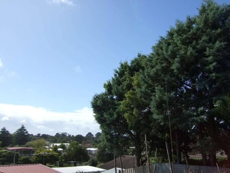 40 Bella Vista Drive, Tootgarook VIC 3941