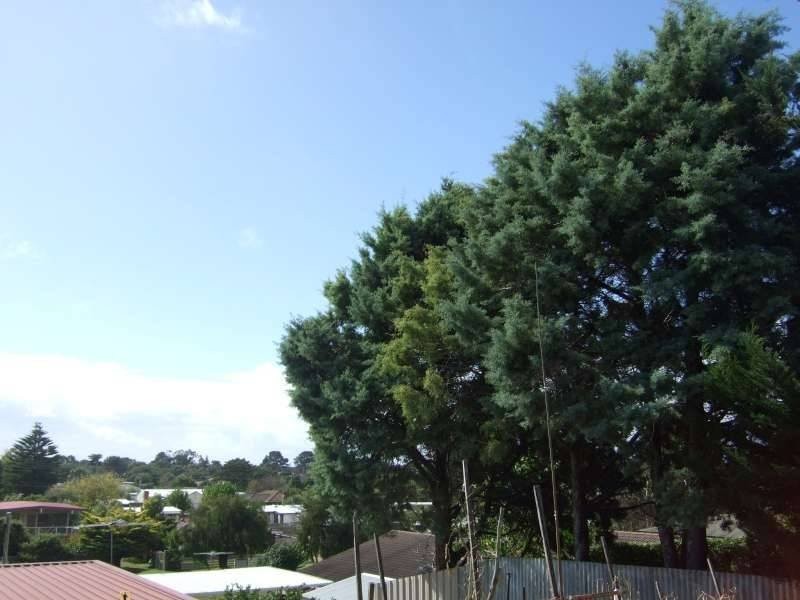 40 Bella Vista Drive, Tootgarook VIC 3941