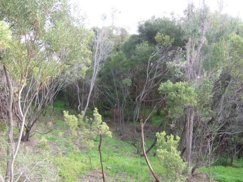 43 Bella Vista Drive, Tootgarook VIC 3941