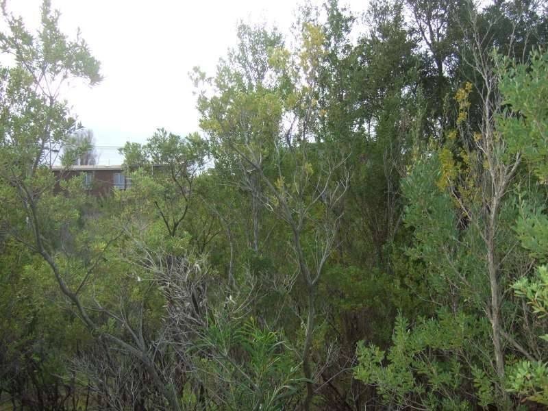 43 Bella Vista Drive, Tootgarook VIC 3941