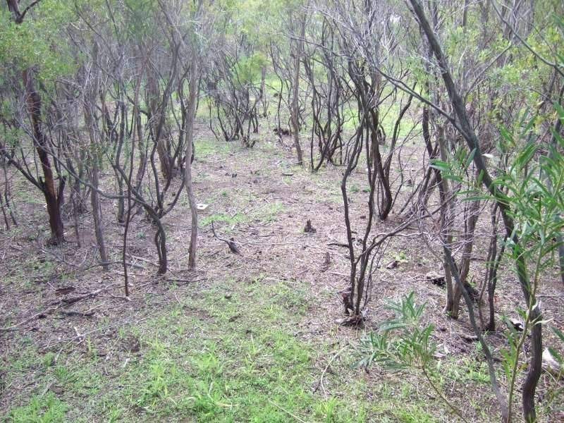 43 Bella Vista Drive, Tootgarook VIC 3941