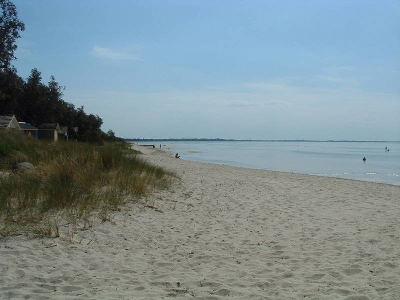 43 Bella Vista Drive, Tootgarook VIC 3941